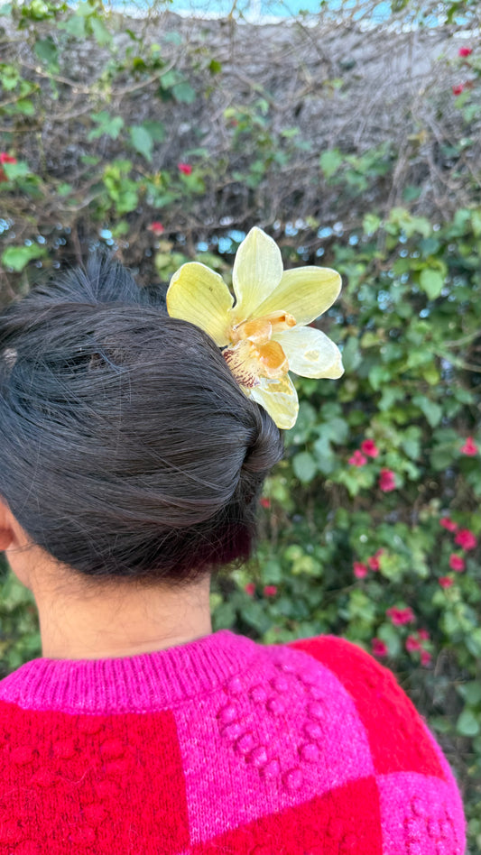 Large Green & Yellow Cymbidium Hairpin (Approx. 6 in)