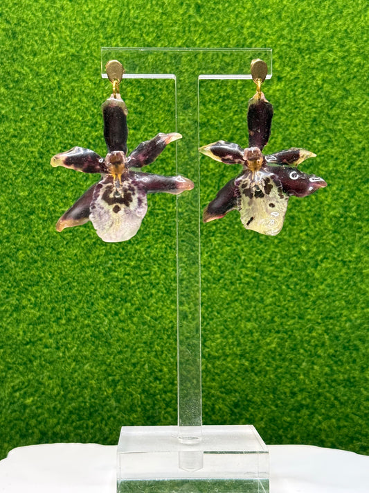 Dorothy Wisnom Oncidium Orchid Studs – Gold