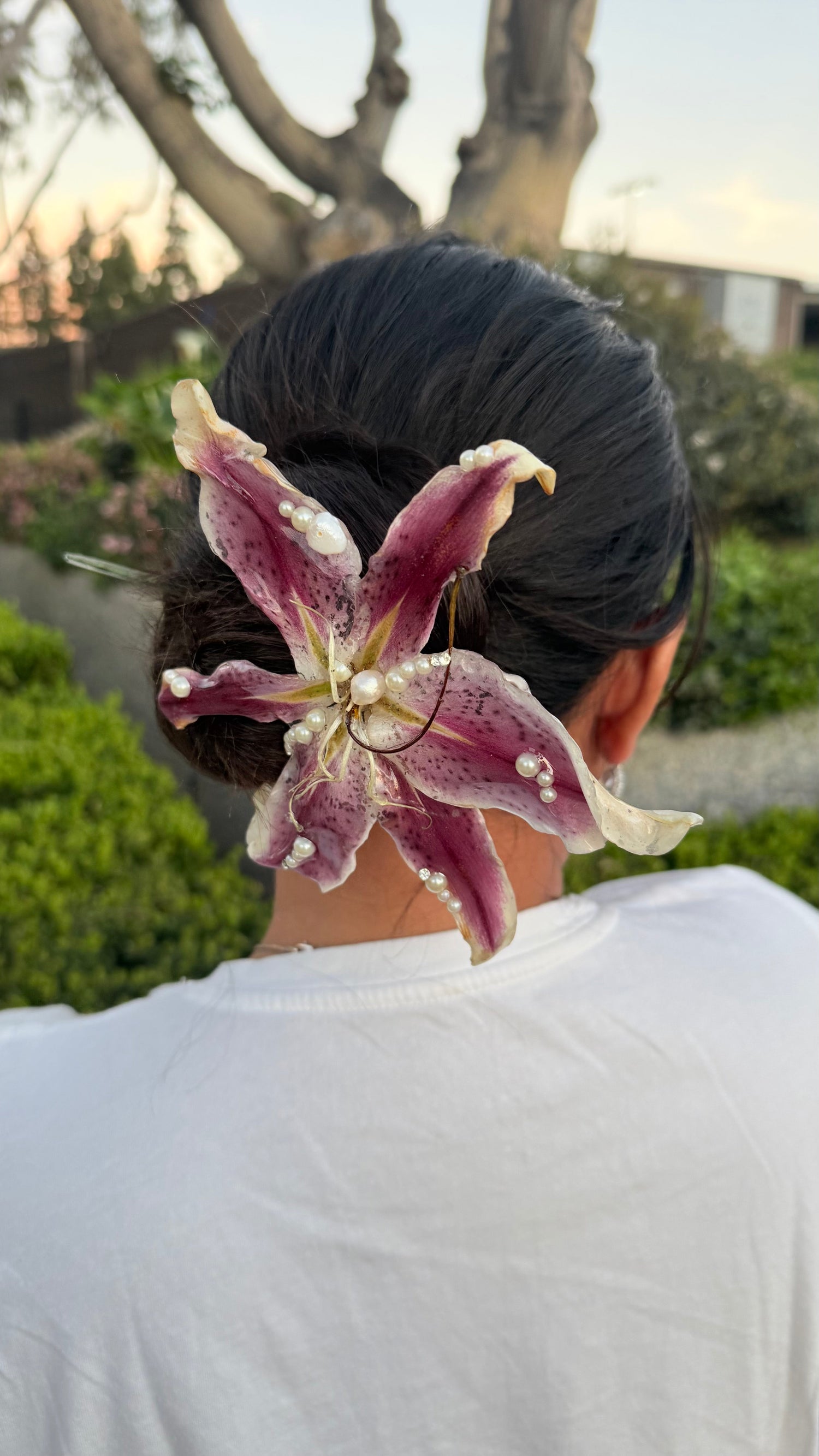 Hair Accessories