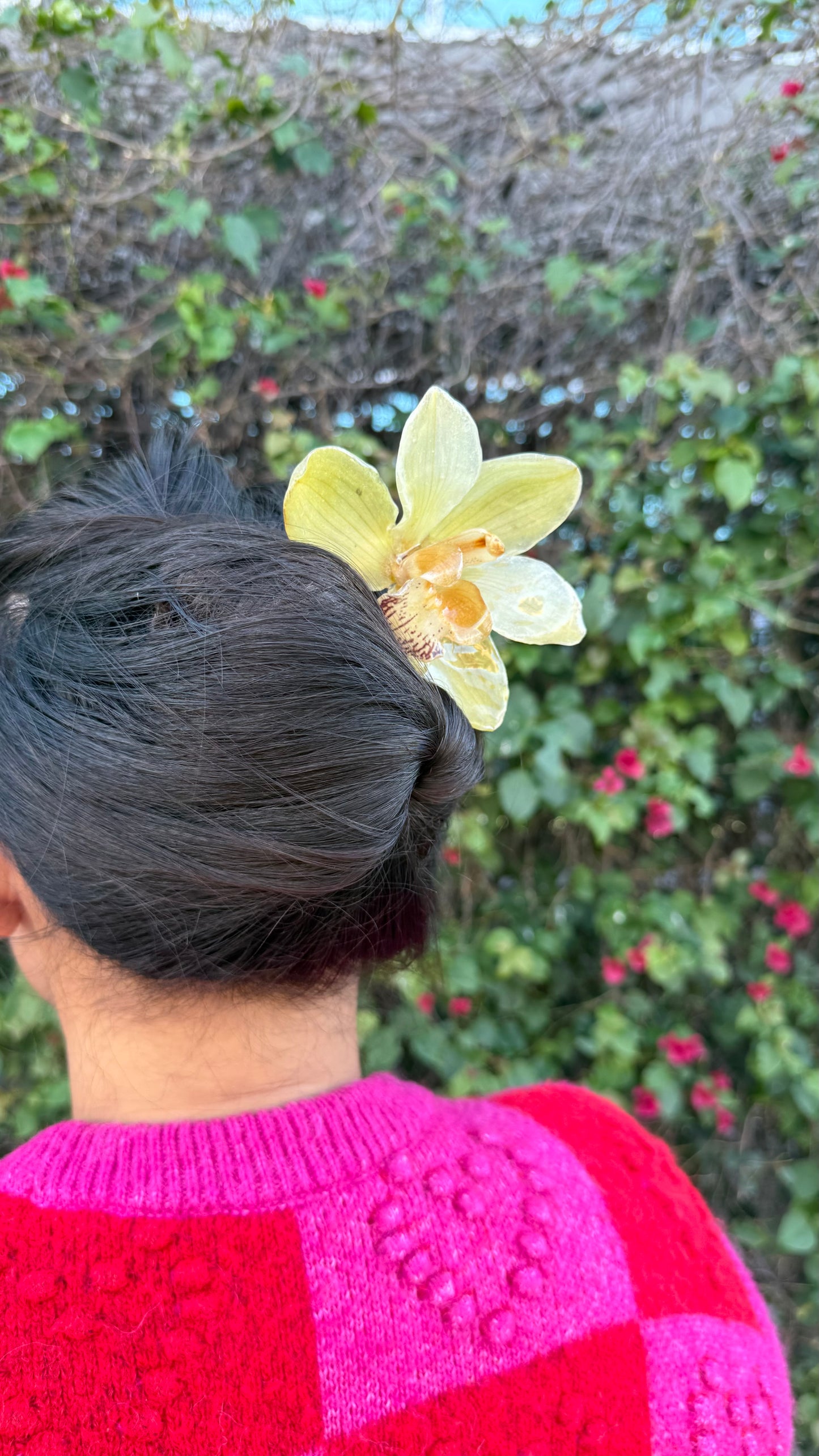 Large Green & Yellow Cymbidium Hairpin (Approx. 6 in)