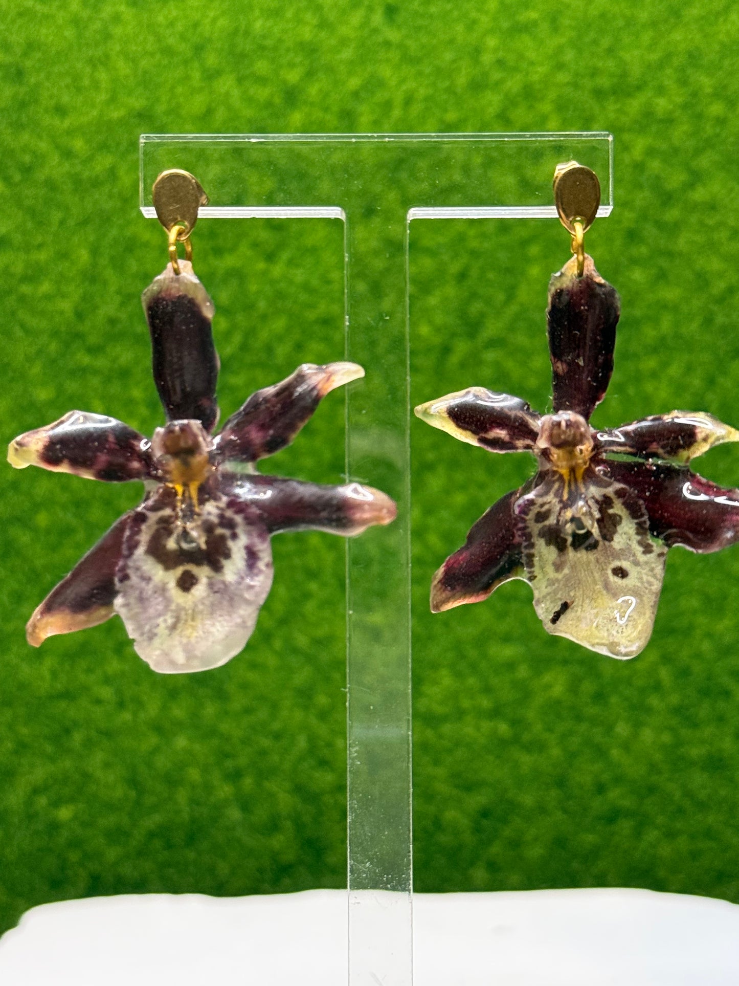 Dorothy Wisnom Oncidium Orchid Studs – Gold