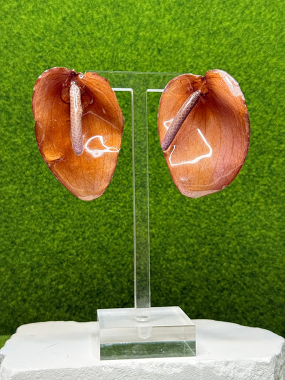 Cocoa Anthurium Earrings