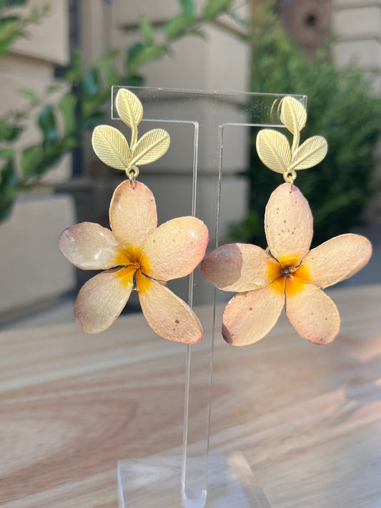 Blushed Plumeria Earrings
